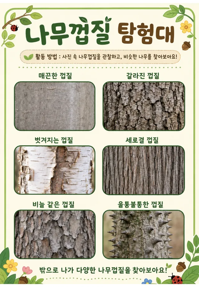 나뭇가지 탐험대